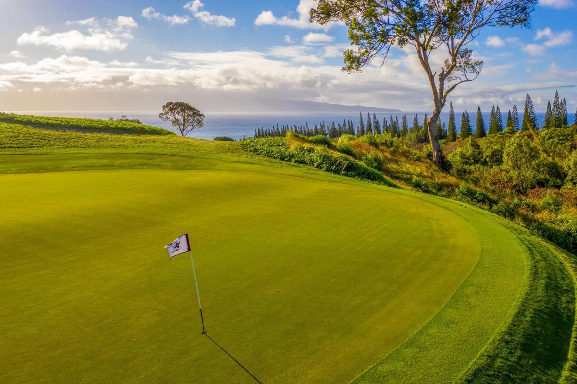 The Ritz-Carlton Maui, Kapalua Otel Lahaina Dış mekan fotoğraf
